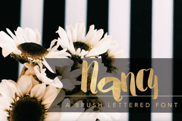 Nancy Font Review: Editorial Warmth for Modern Layouts