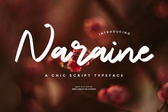 Naraine Font Review: Elevating Campaign Visuals